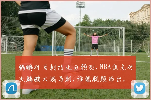 鹈鹕对马刺的比分预测,NBA焦点对决鹈鹕大战马刺,谁能脱颖而出,